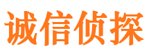 于田侦探